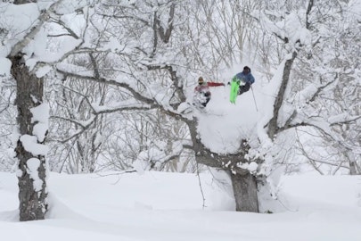 Nimbus Independent roars back into the spotlight with trailer for "When The Sky Falls"