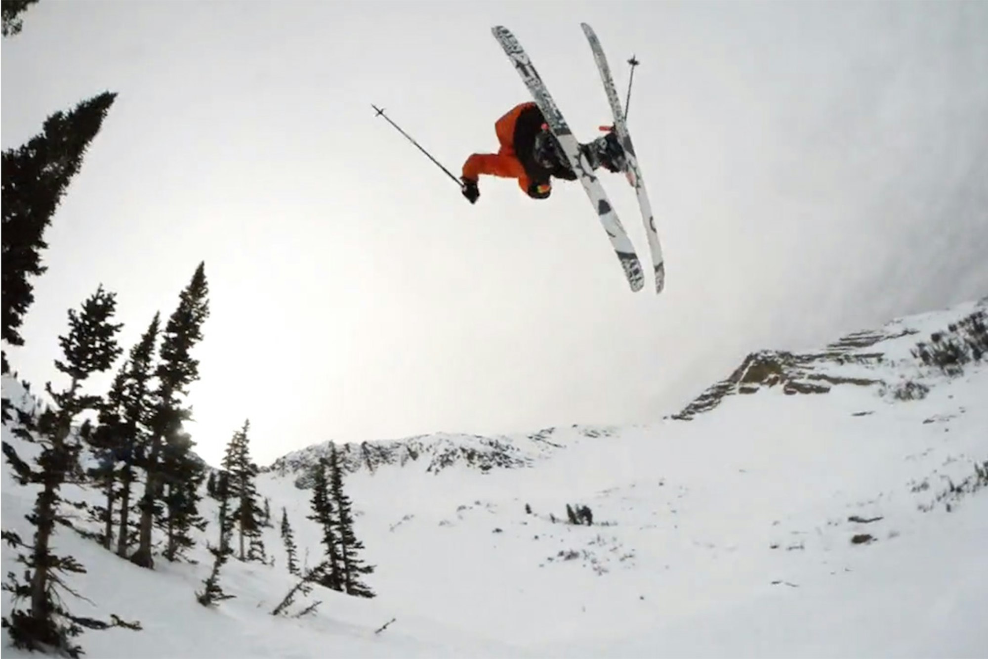 Kitten Factory releases 2015 season edit, go ahead and watch it right meow
