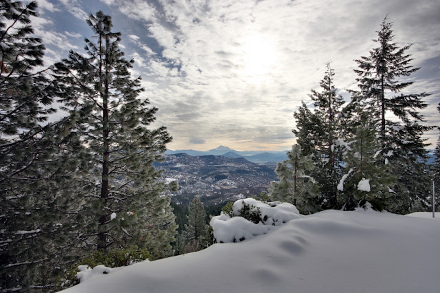 5287495898_1a46299daf_b