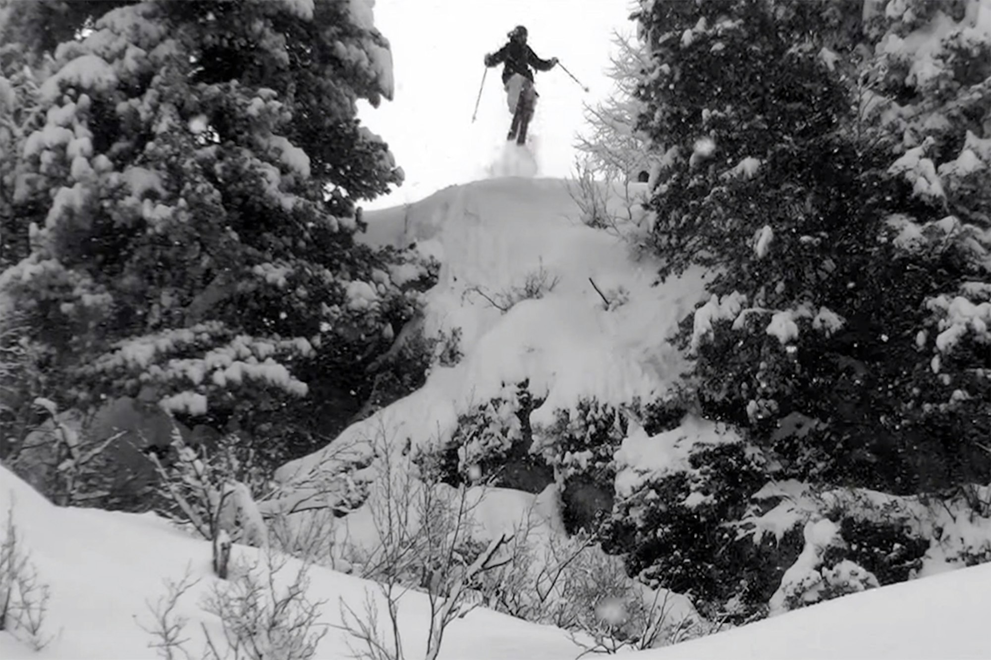 Large and in charge: Bernhard Braun goes hard as' in 2014-15 season recap