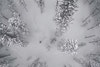 Saugstad and co. take advantage of 70-inch storm at Taos Ski Valley