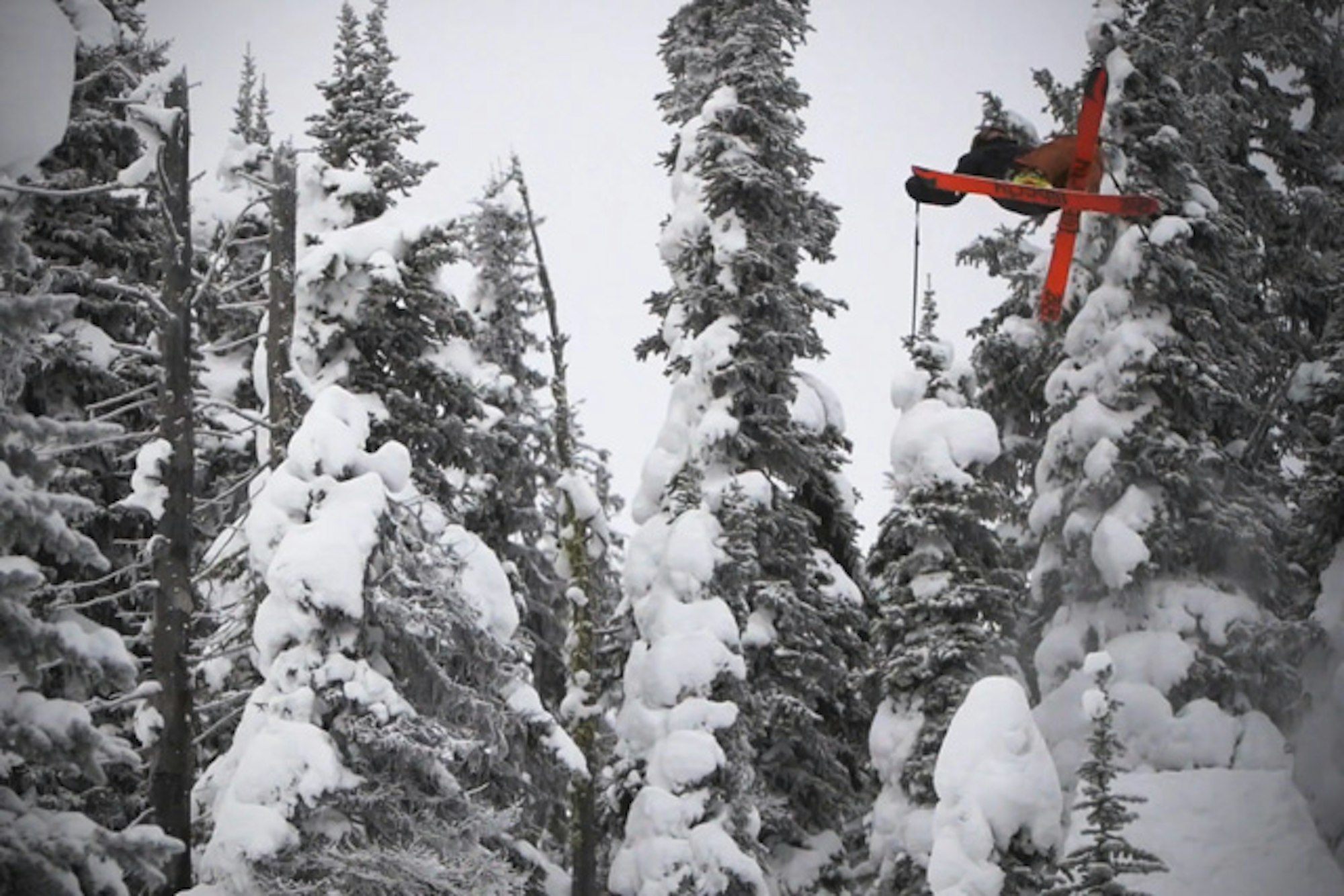 Video Preview: Liberty Schuster Pro ski