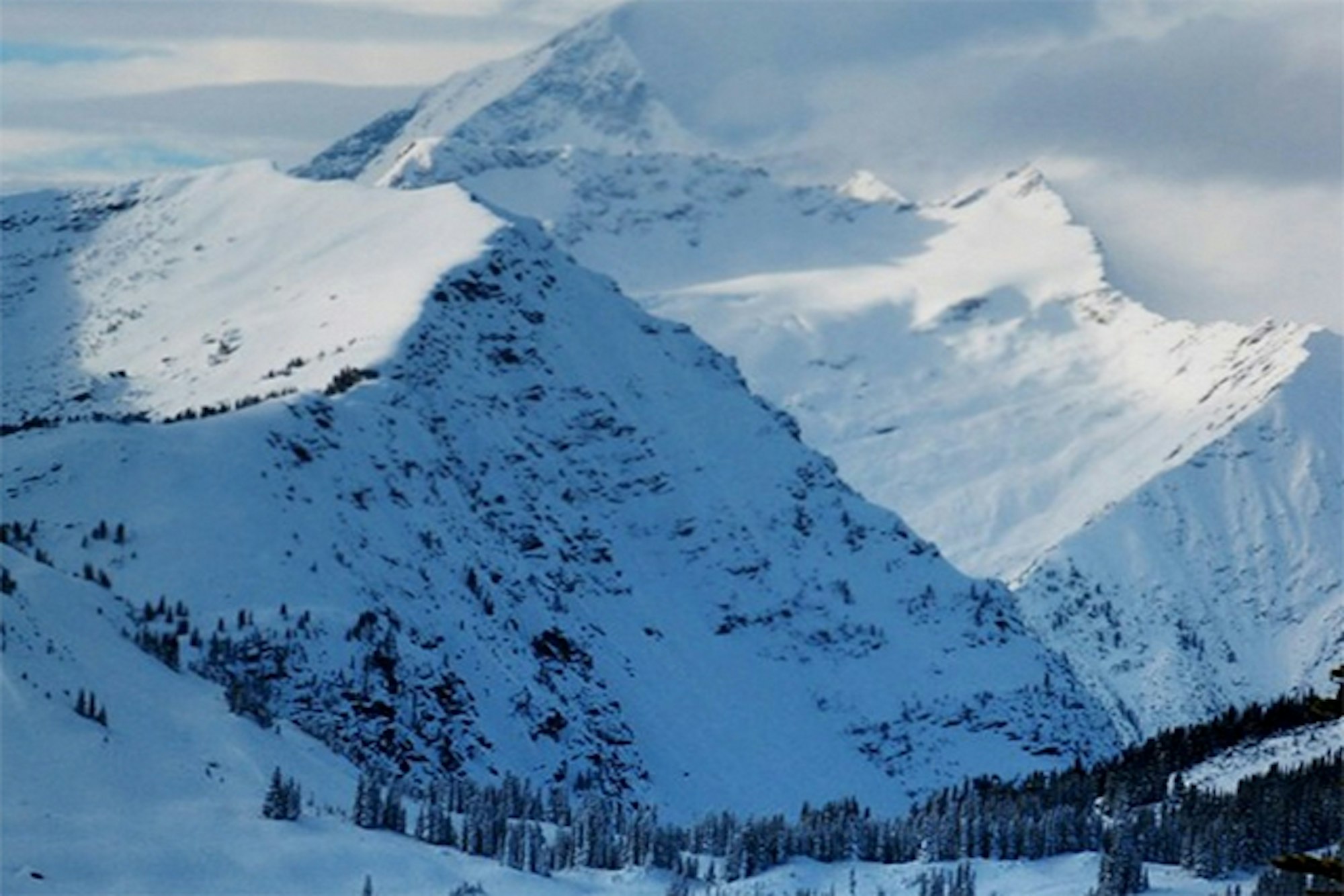 The Best of Instagram: MSP Films' top 5 shots of the year