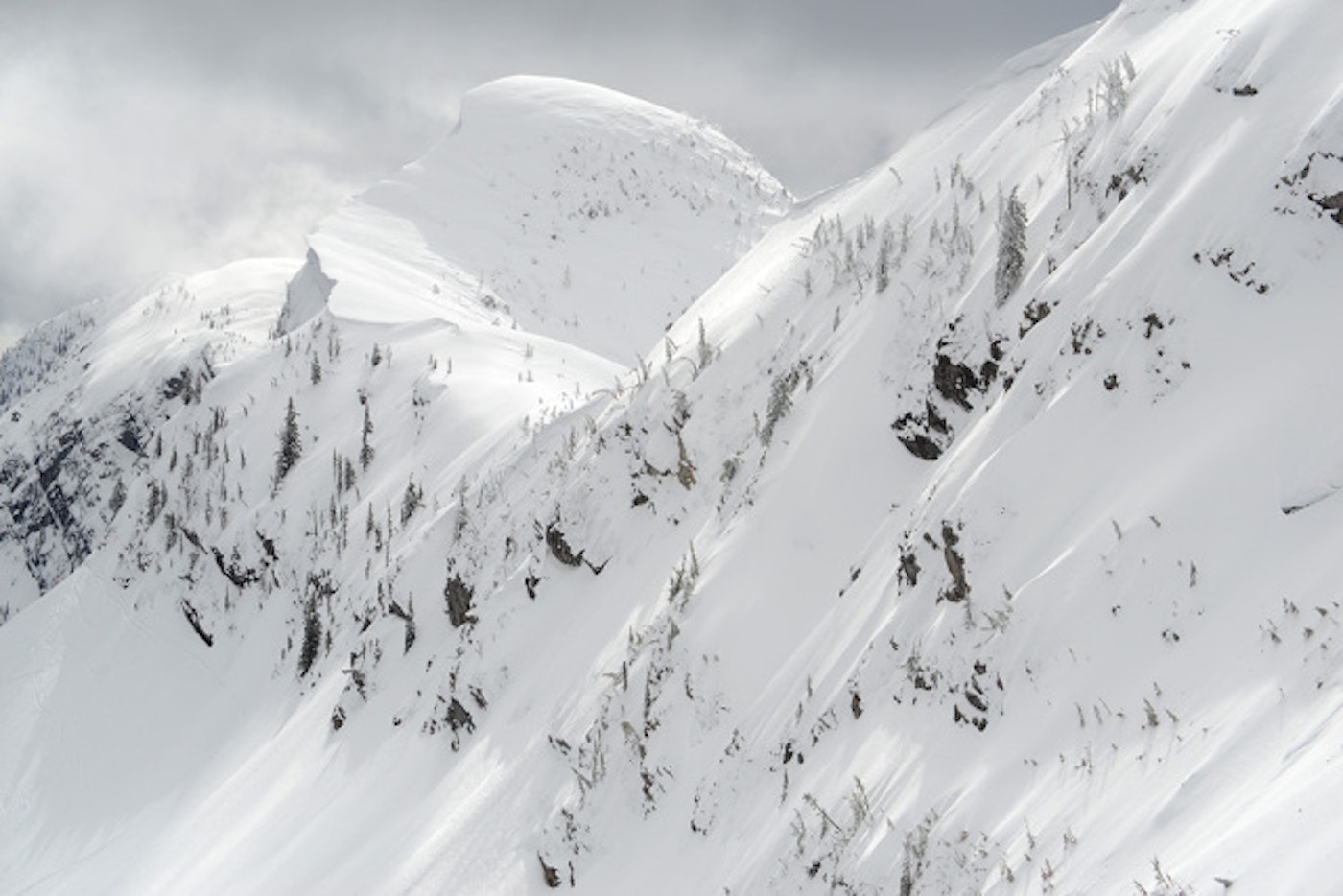 Protect Our Winters, The North Face