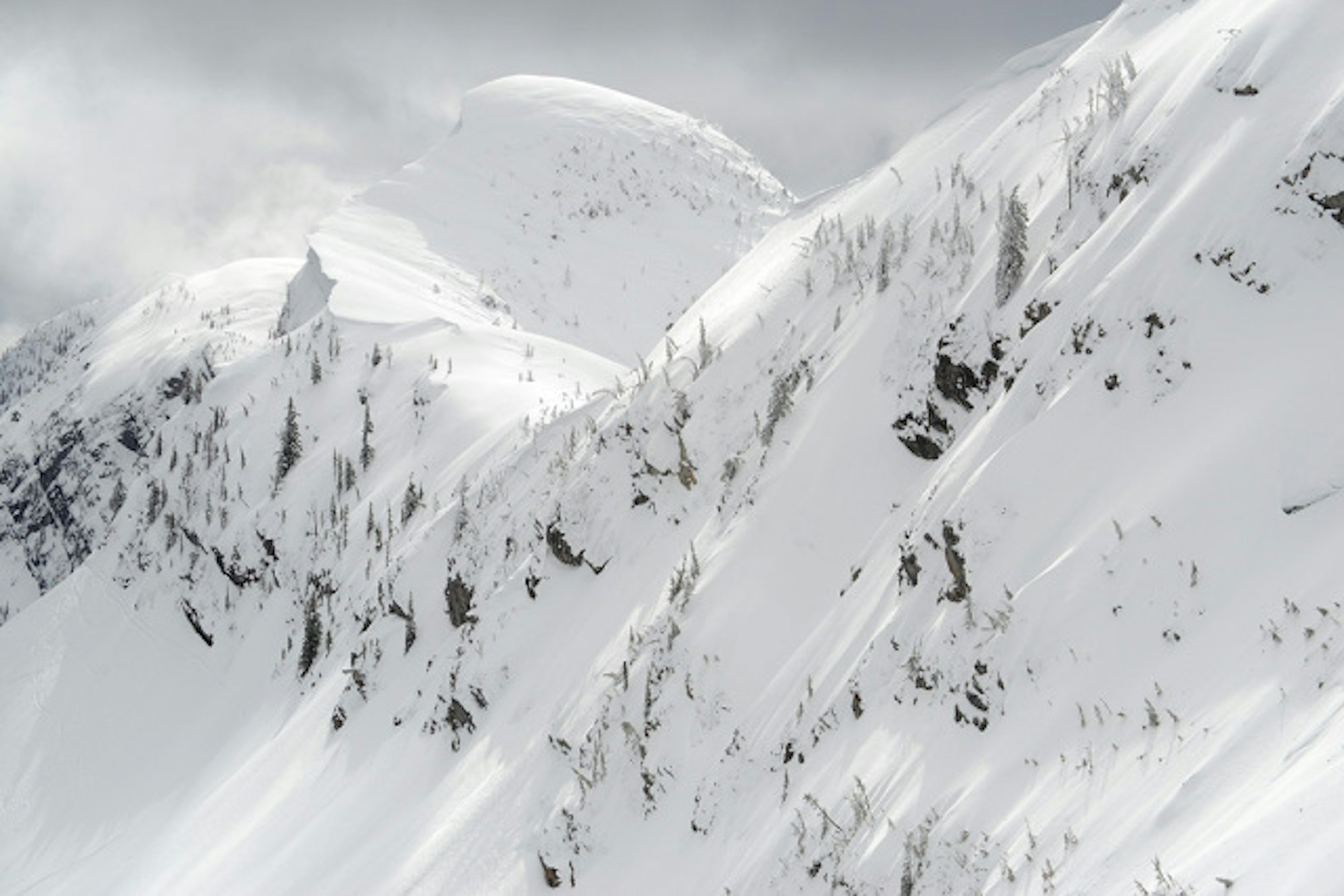 Protect Our Winters, The North Face