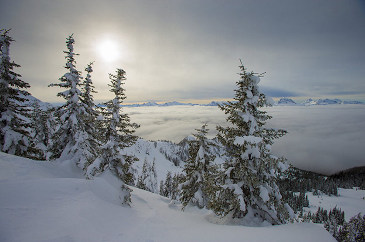 2015 Red Bull Cold Rush cancelled