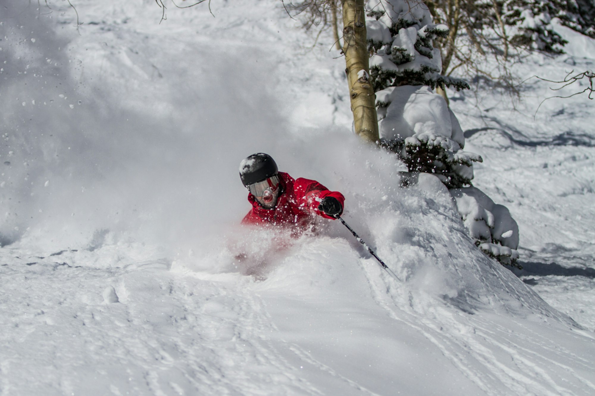 Gallery: We're crushing blower pow at #FREESKIERtest 2016