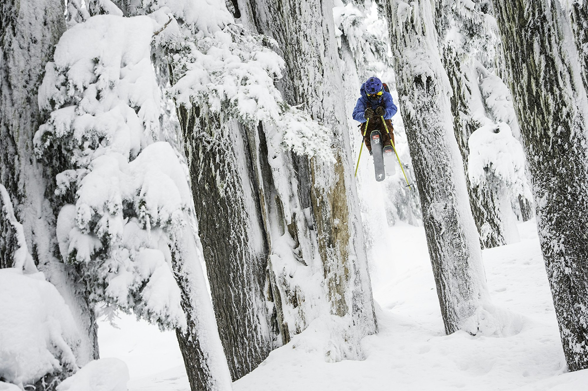 Get Some: You really need to go skiing in Western Canada this spring