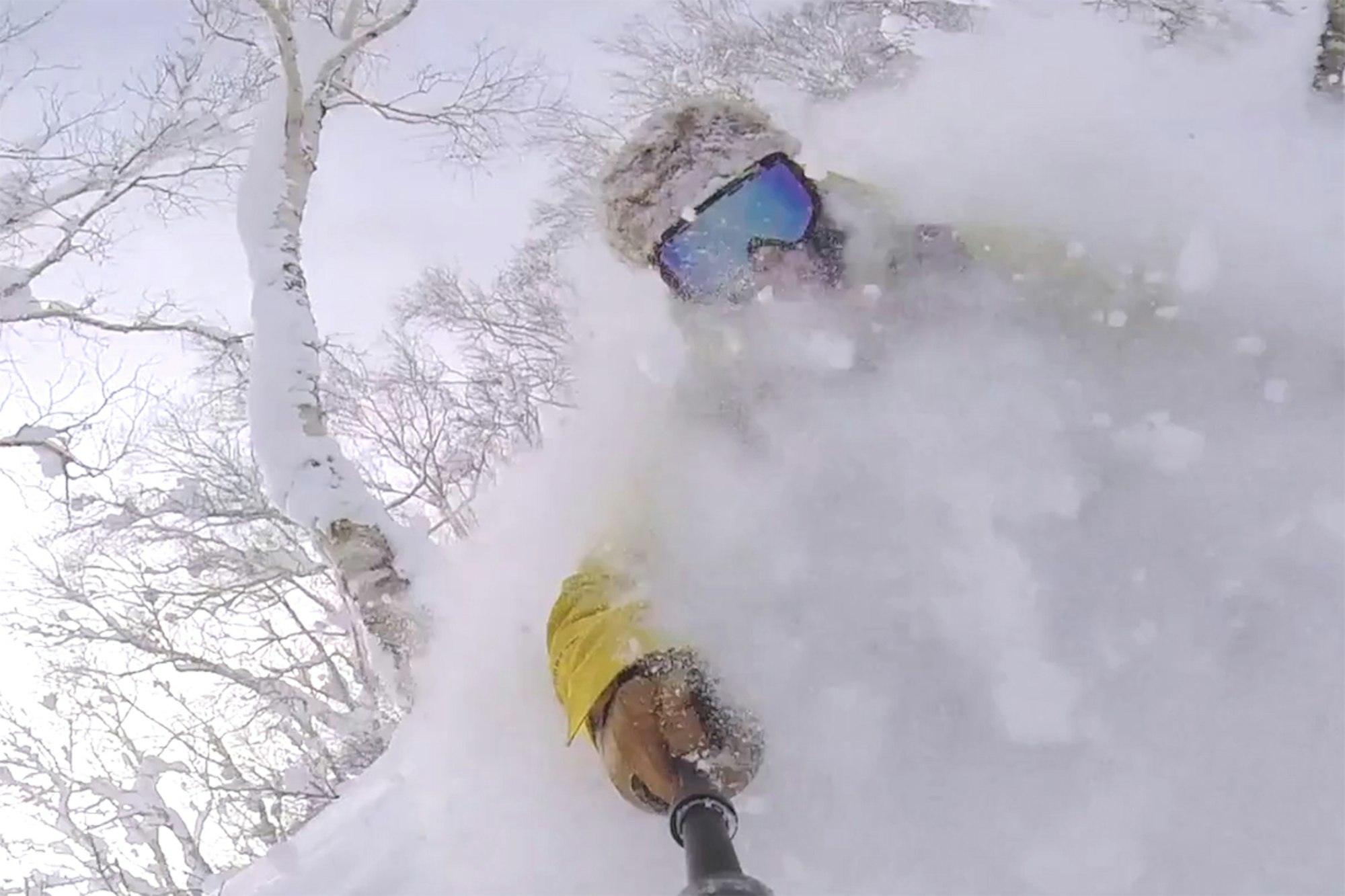 Watch four ripping skiers feast on Japanese pow pow in new web series, "Cheers"