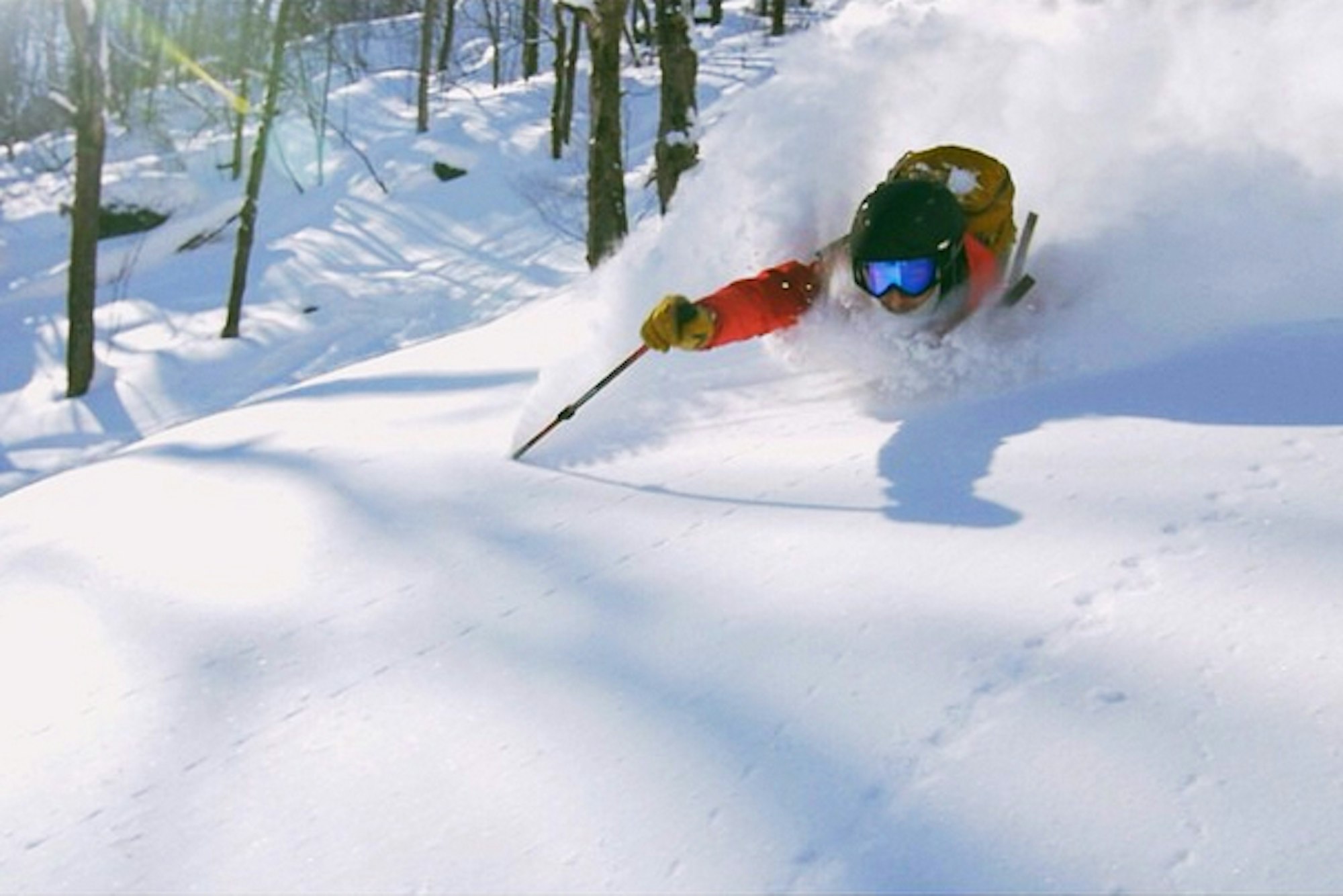 What is the Vermont Backcountry Alliance? Get the details, here
