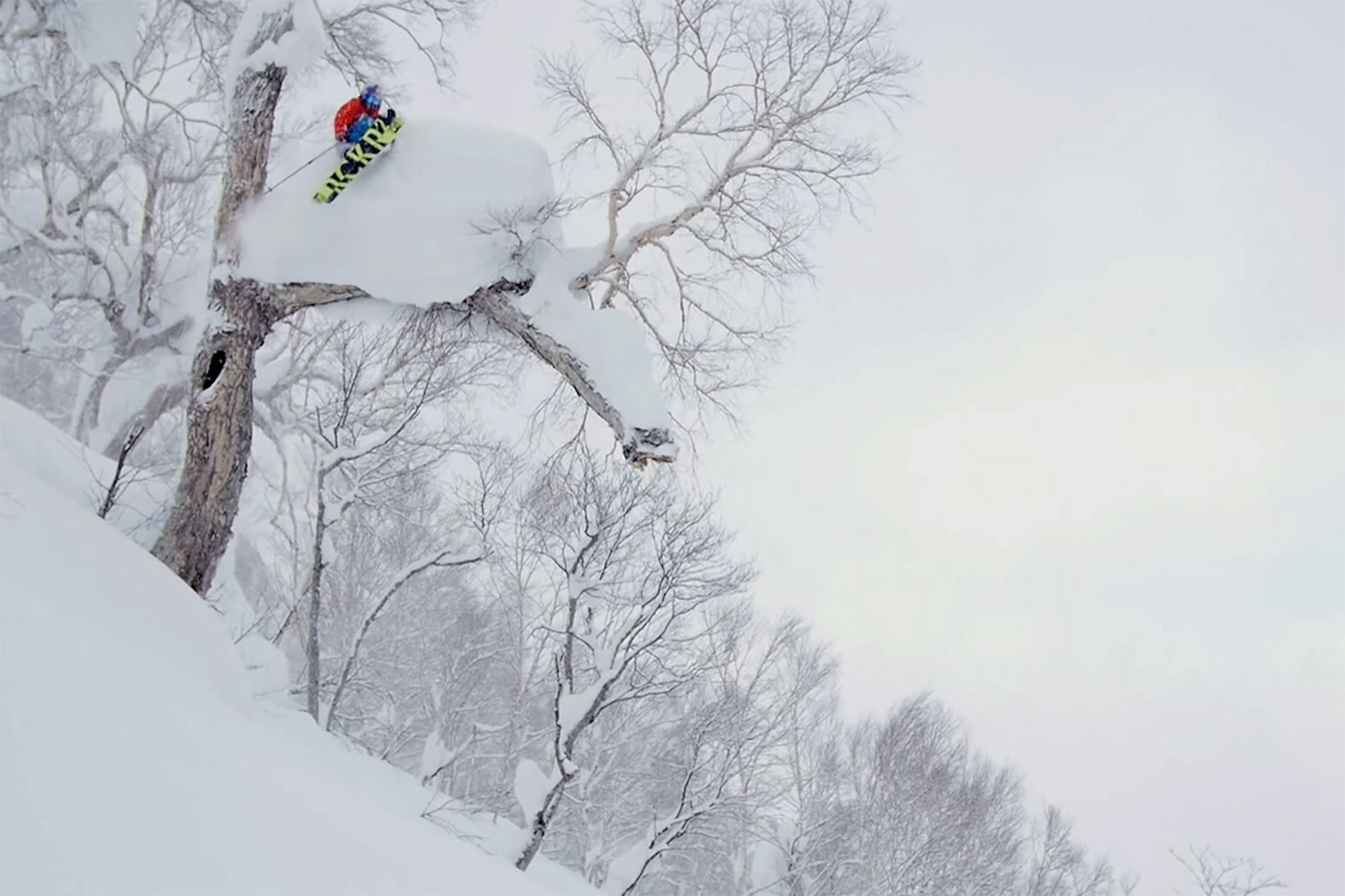 Windstedt, Rappaport and Jonsson showcase the best of "Japan from Above"