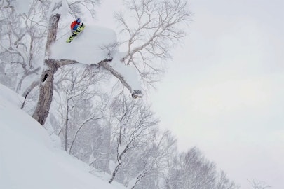 Windstedt, Rappaport and Jonsson showcase the best of "Japan from Above"