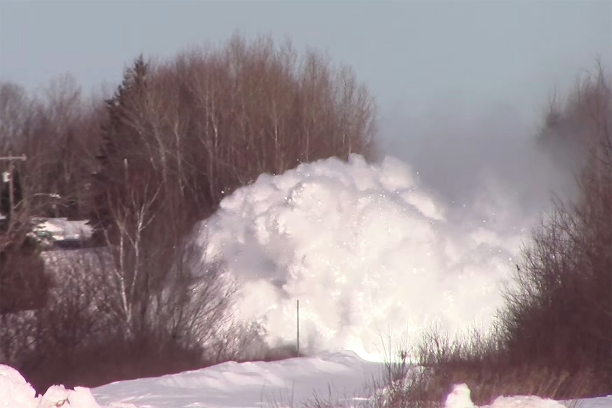 This might be the best face shot we've ever seen