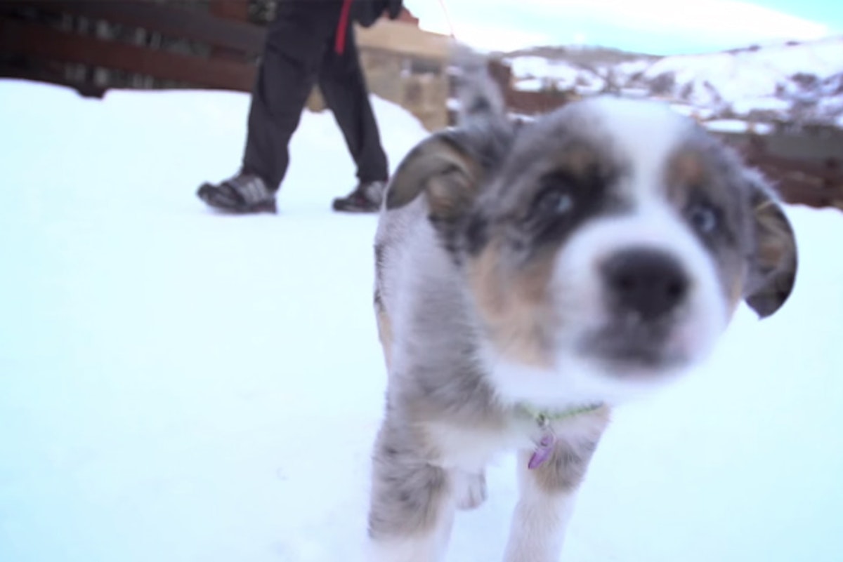 Local: Challenge Aspen Chris Bove Memorial Uphill goes down February 21