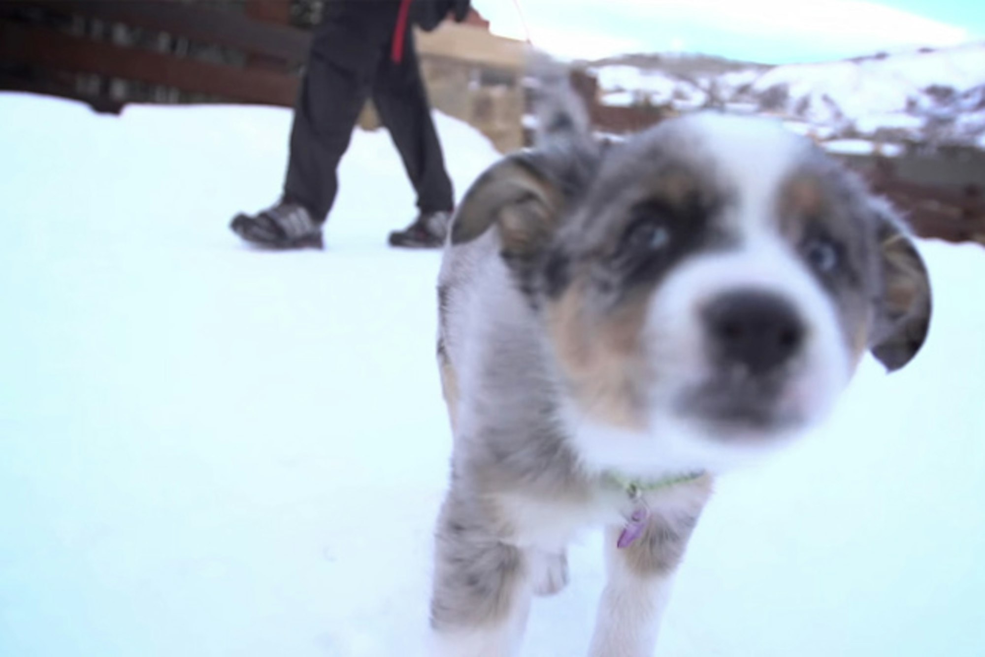 Local: Challenge Aspen Chris Bove Memorial Uphill goes down February 21