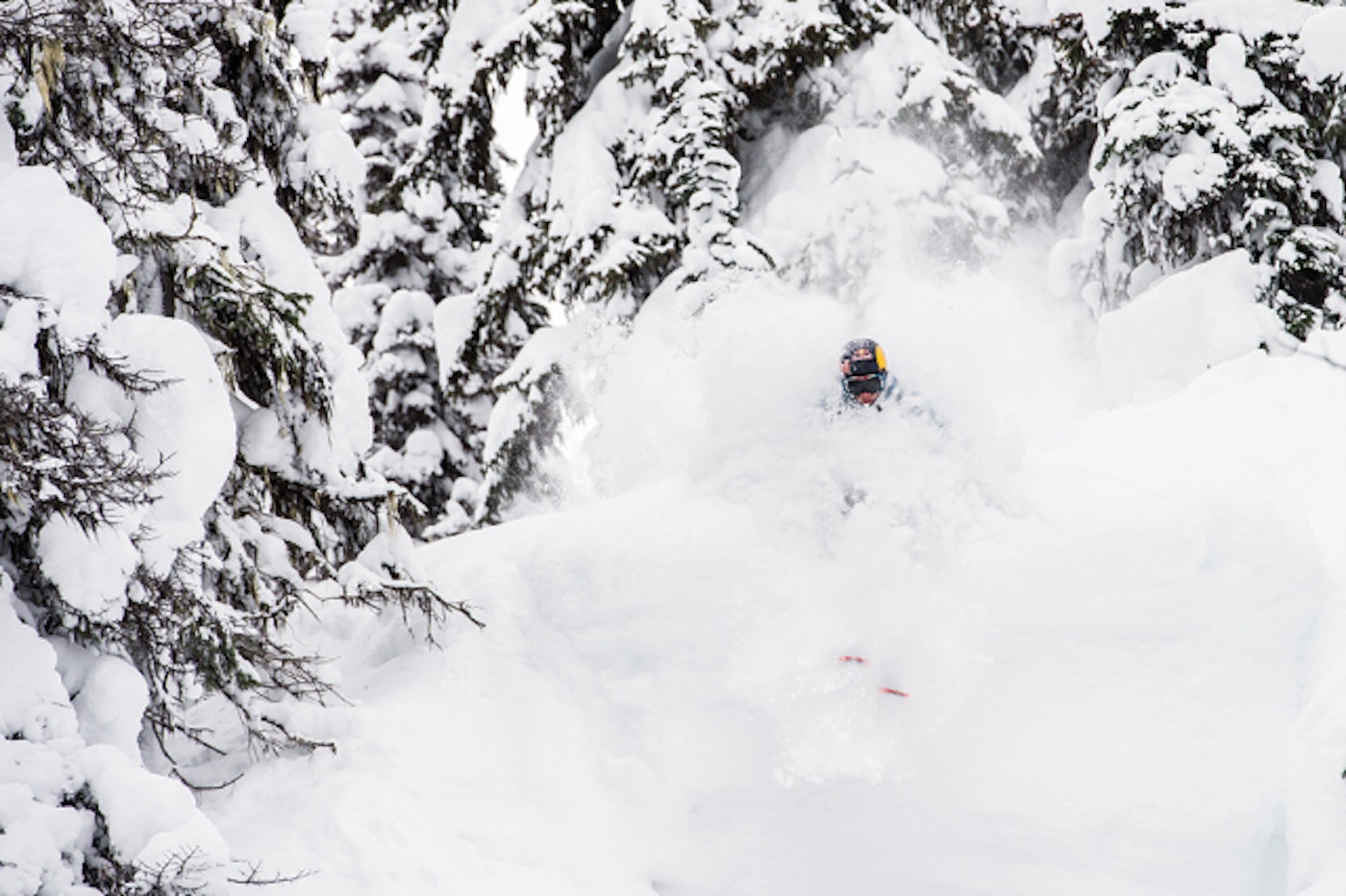 Richard permin at monashee powder cats british columbia canada MSP
