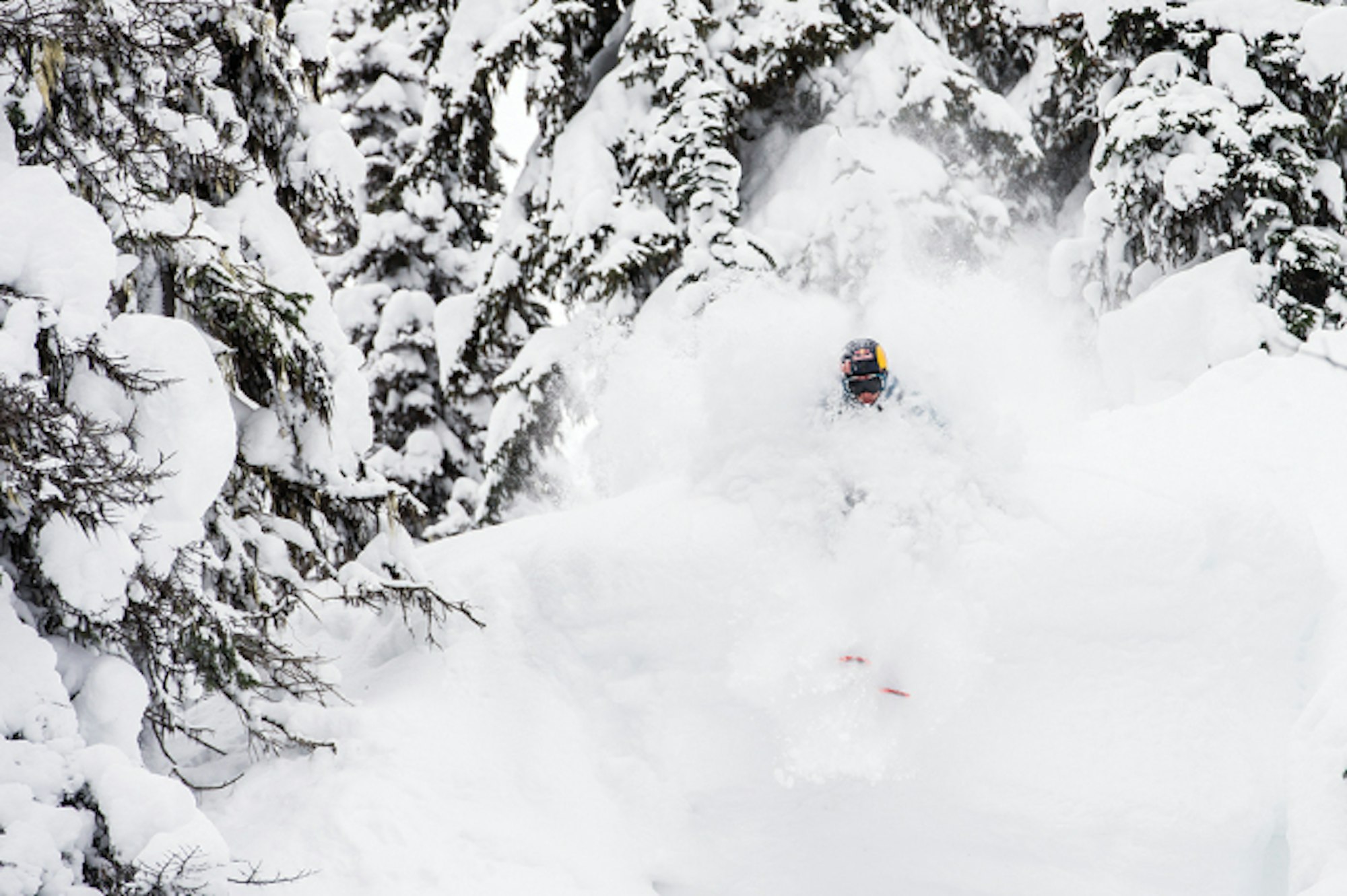 Richard permin at monashee powder cats british columbia canada MSP