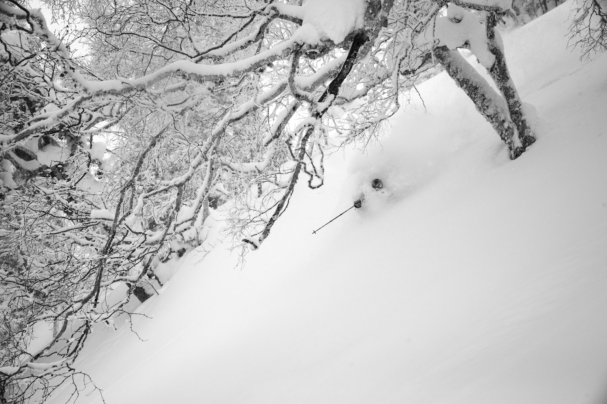 Voile: Domestic Manufacturing and Innovative Backcountry Design