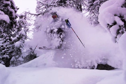 Todd Ligare skips school, has himself a "Snow Day"