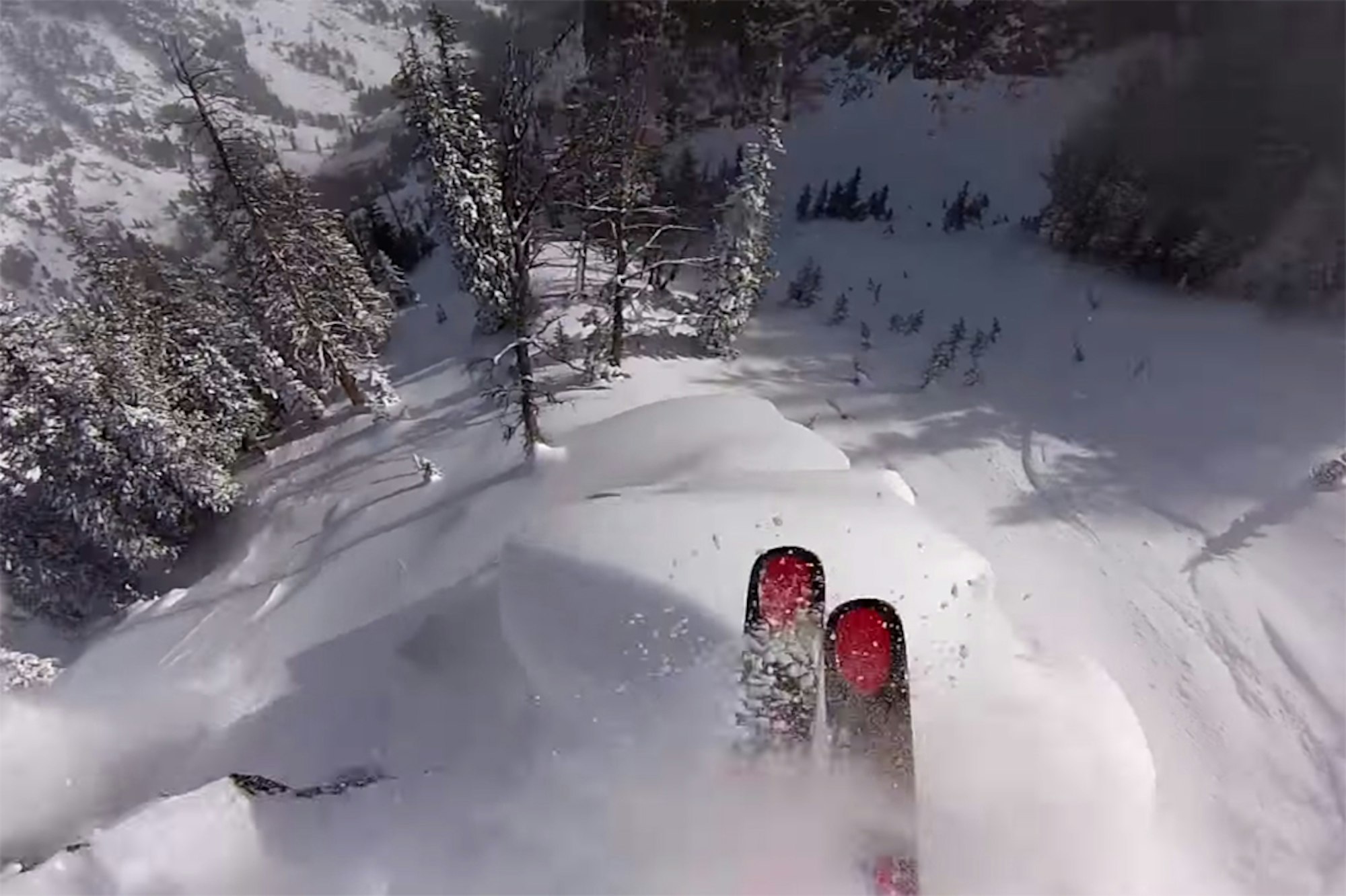 MMWUC: Candide's latest masterpiece, bro passes out on a theme park ride, more