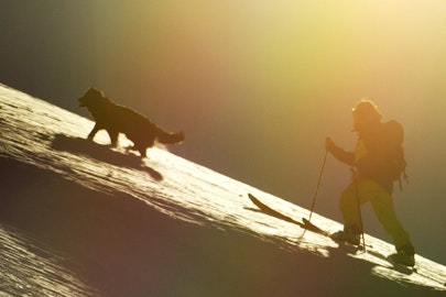 Skiing with man's best friend in "Sun Dog" from DPS Cinematic