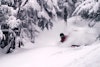 Glades galore in episode one of Ski The East's "Spectral" from Cannon Mountain