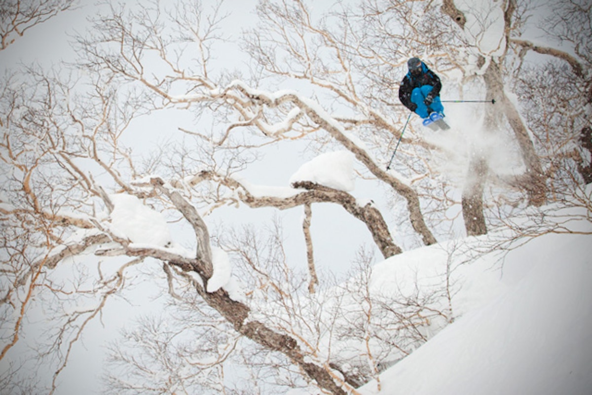 A healthy heaping of Ja-powder is the best medicine for the Giro crew in latest ep. of "Unplugged"