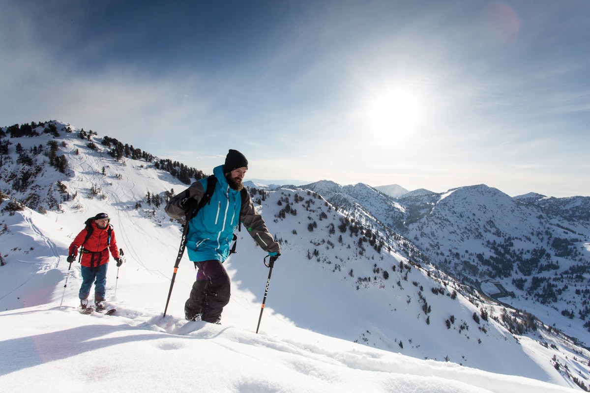 Roxa: New Name, Trusted Product