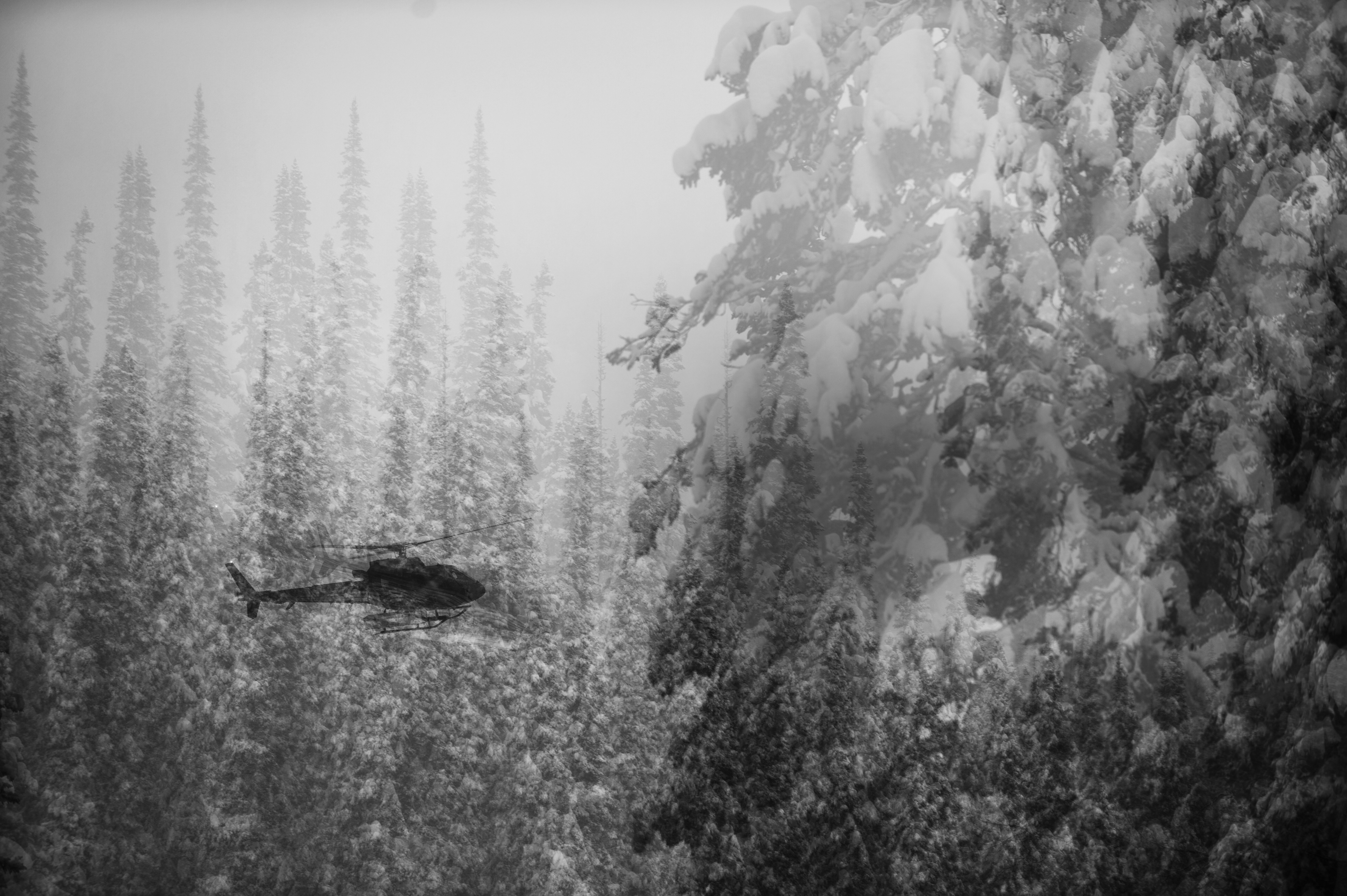 FREESKIER's 2015 Cat and Heli-Skiing Guide