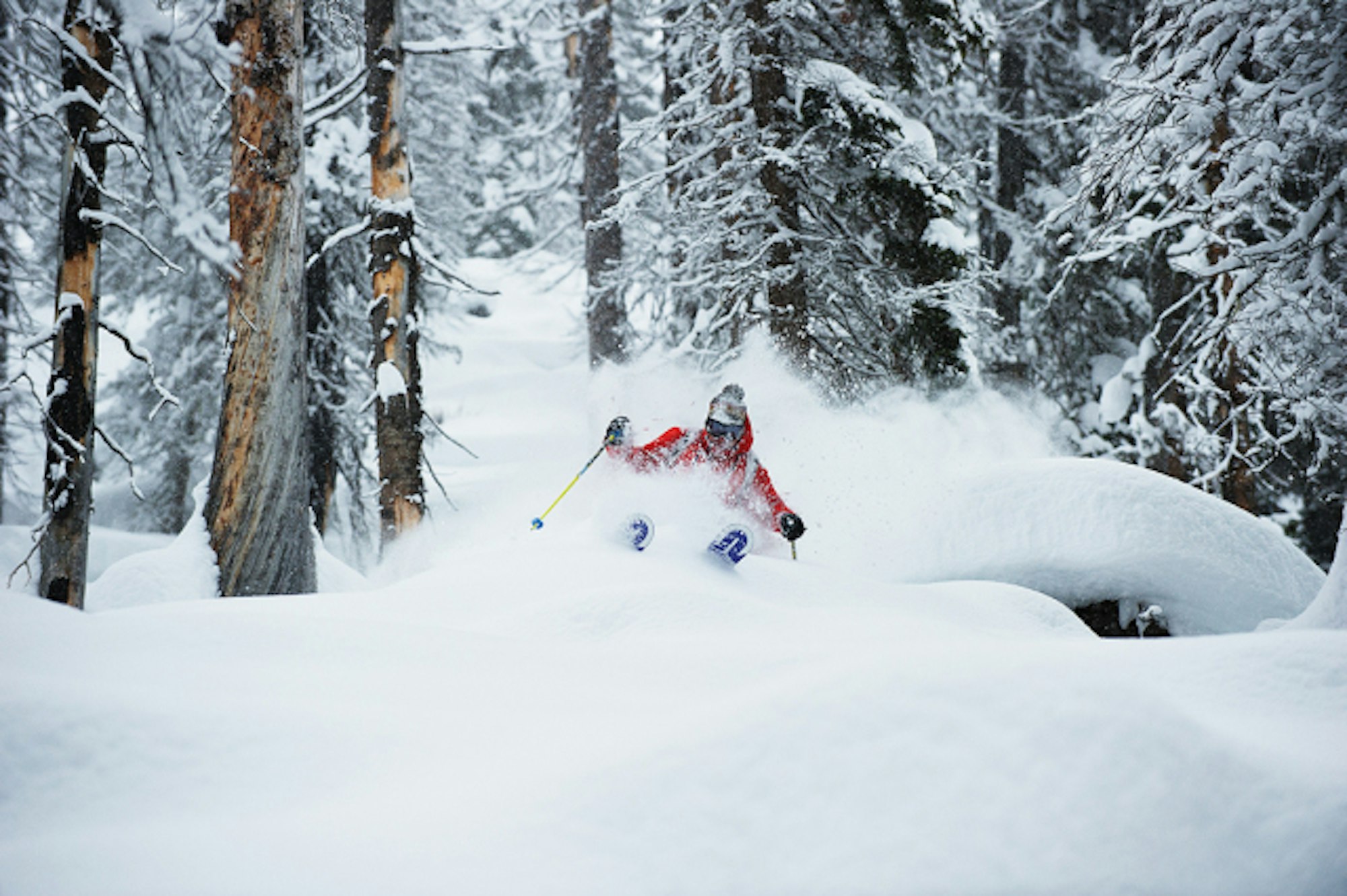 Mike Welch at CMH Heli-Skiing