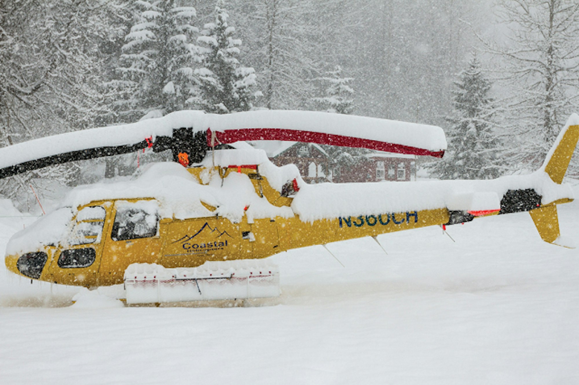 Alaska Heliskiing