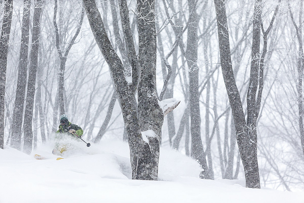 Marmot: 40 Years of Product Innovation