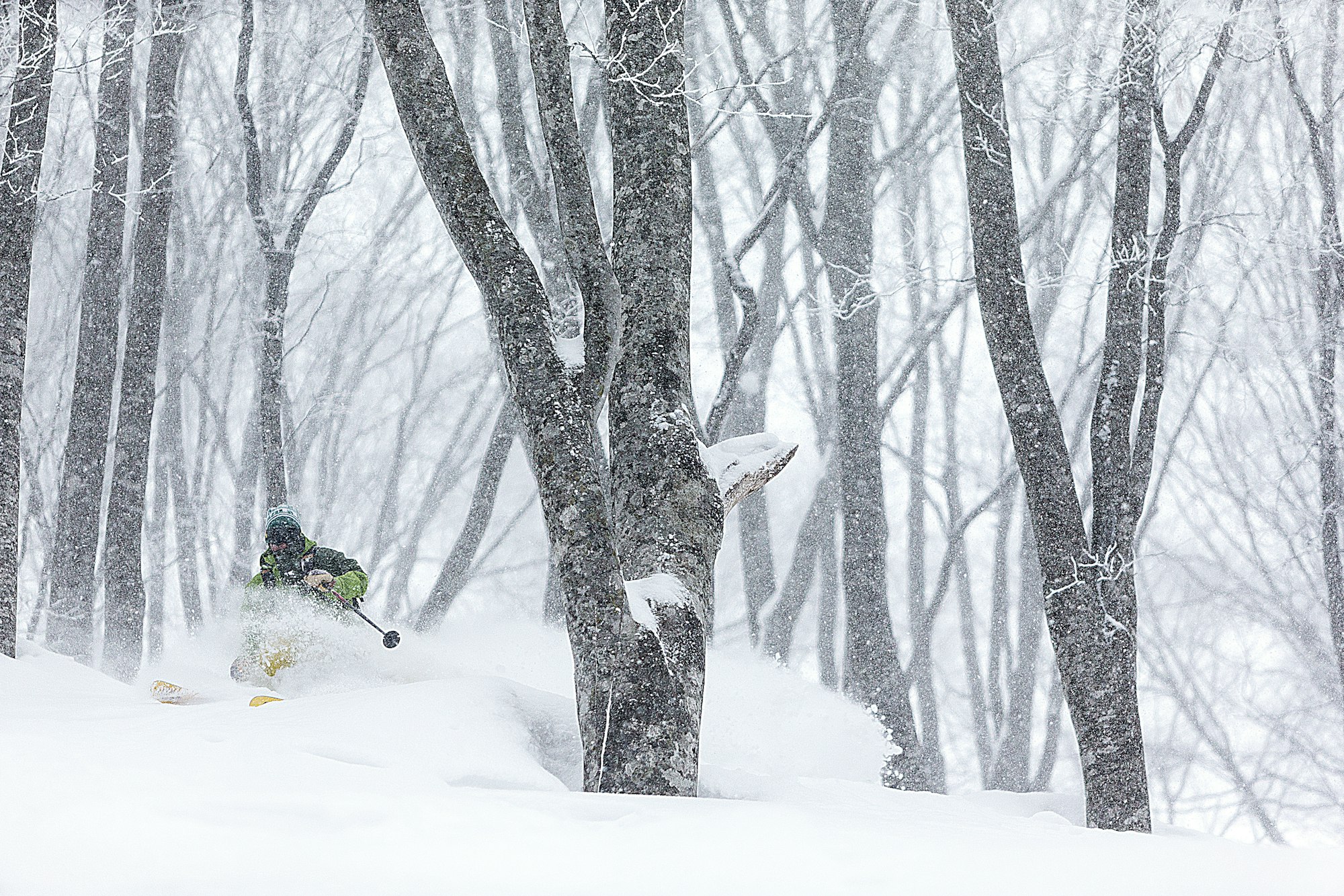 Marmot: 40 Years of Product Innovation