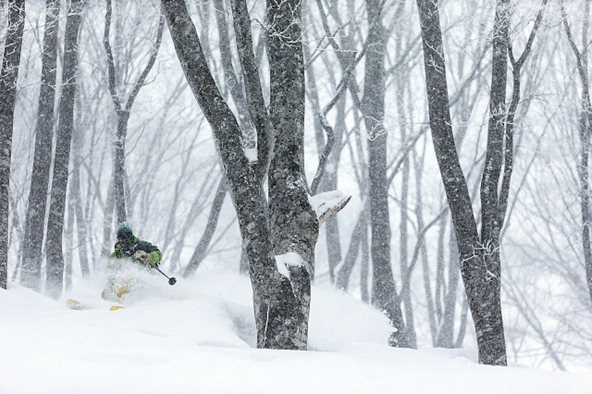 JakeCohn2-GabeRogel-X