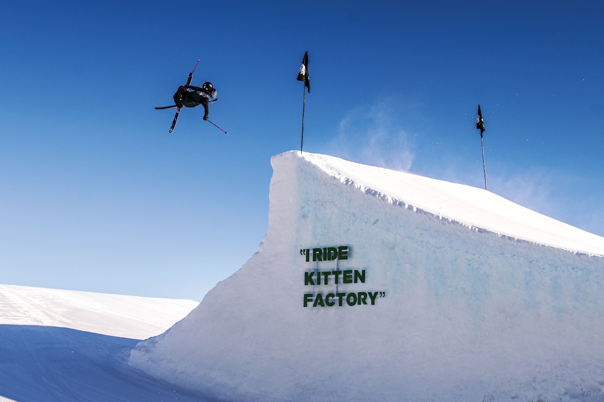 Kitten Factory: These Cats Are All About Carbon