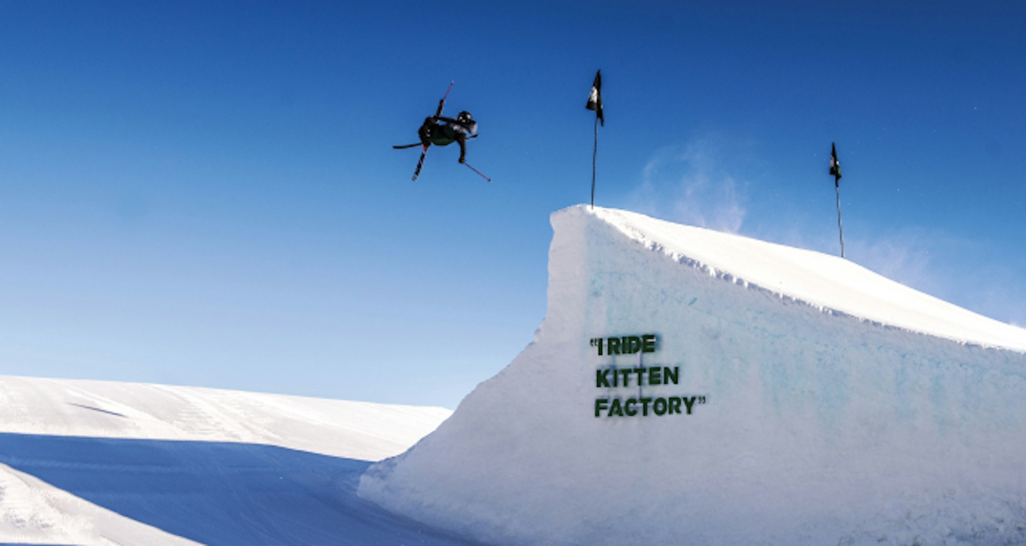 KittenFactory_Scott_Lund_V3