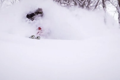 Fujas, Hindert and Oliver travel "Japan by Van" in new Sweetgrass webisode