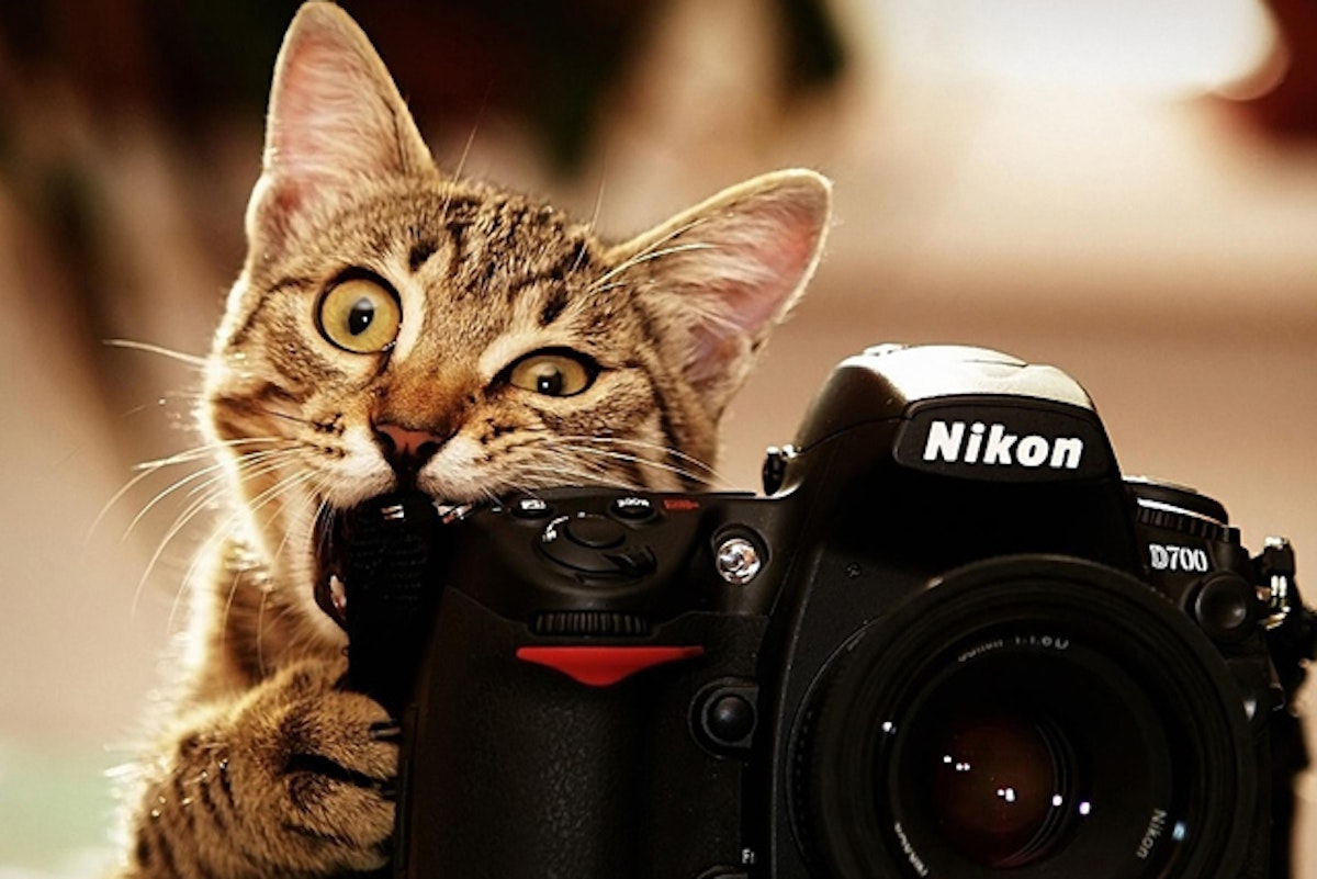 Poll: Who is your favorite ski photographer?