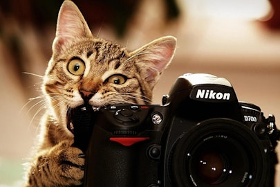 Poll: Who is your favorite ski photographer?