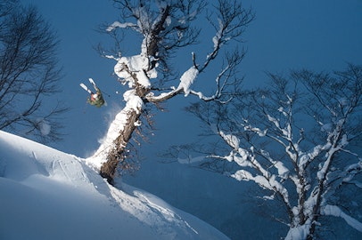 anon. Optics: Focused on the Future