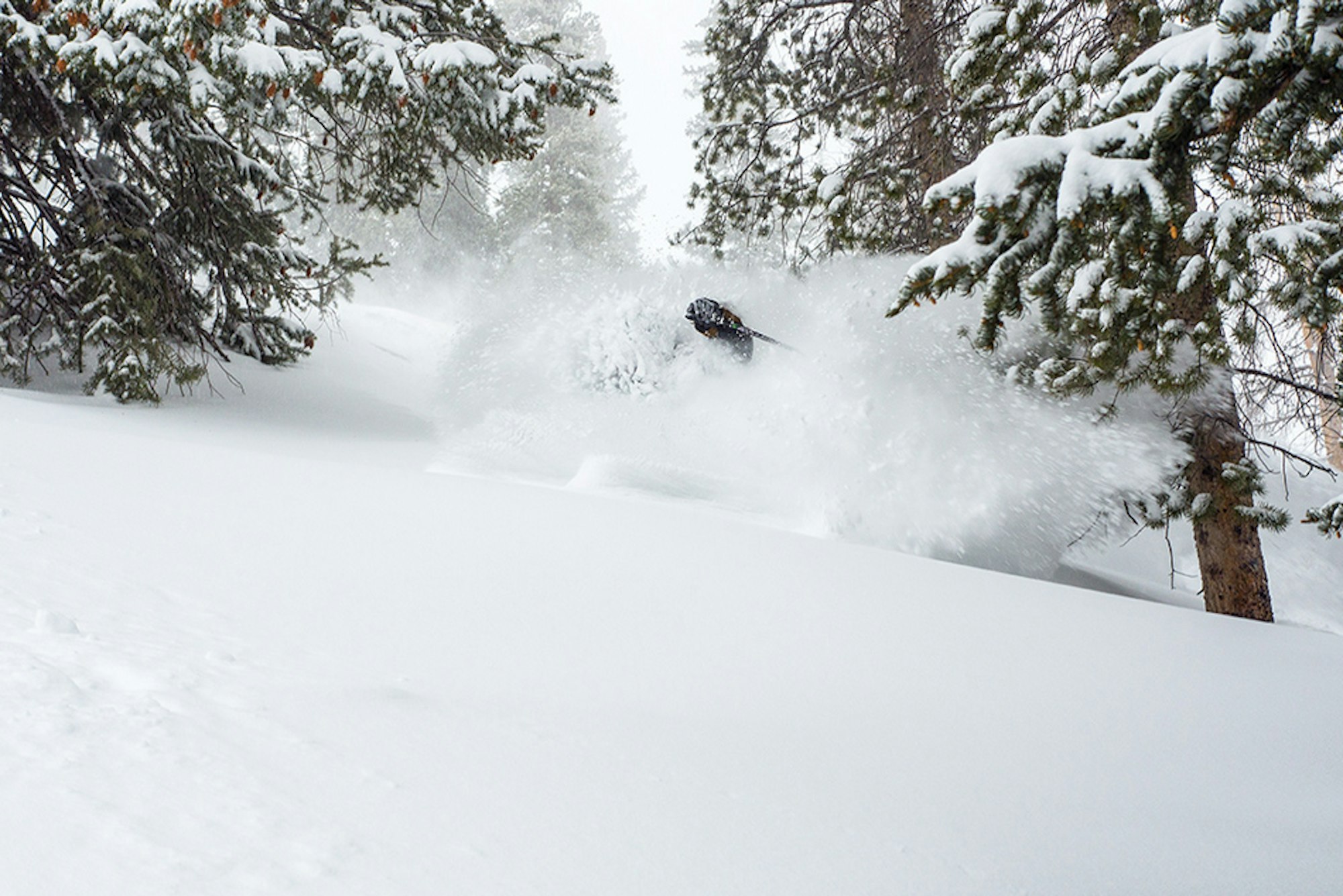 Top 10 skis: The best powder skis of 2015