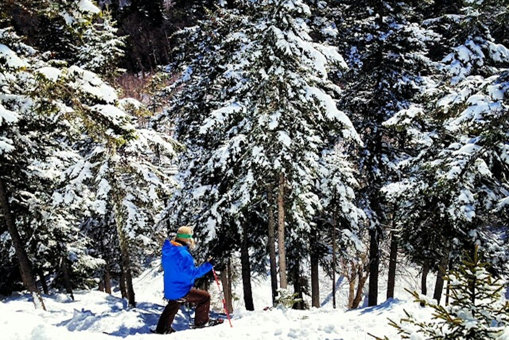 Sunday River adds 50 acres of new terrain for 2014-15 season