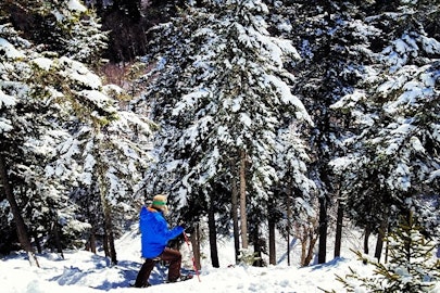 Sunday River adds 50 acres of new terrain for 2014-15 season