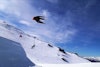 The Wells brothers rip up Cardrona in recent New Zealand ski video