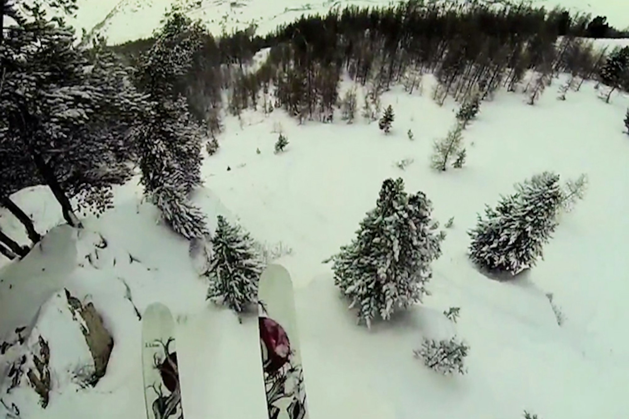 Léo Taillefer is one gnarly son of a gun