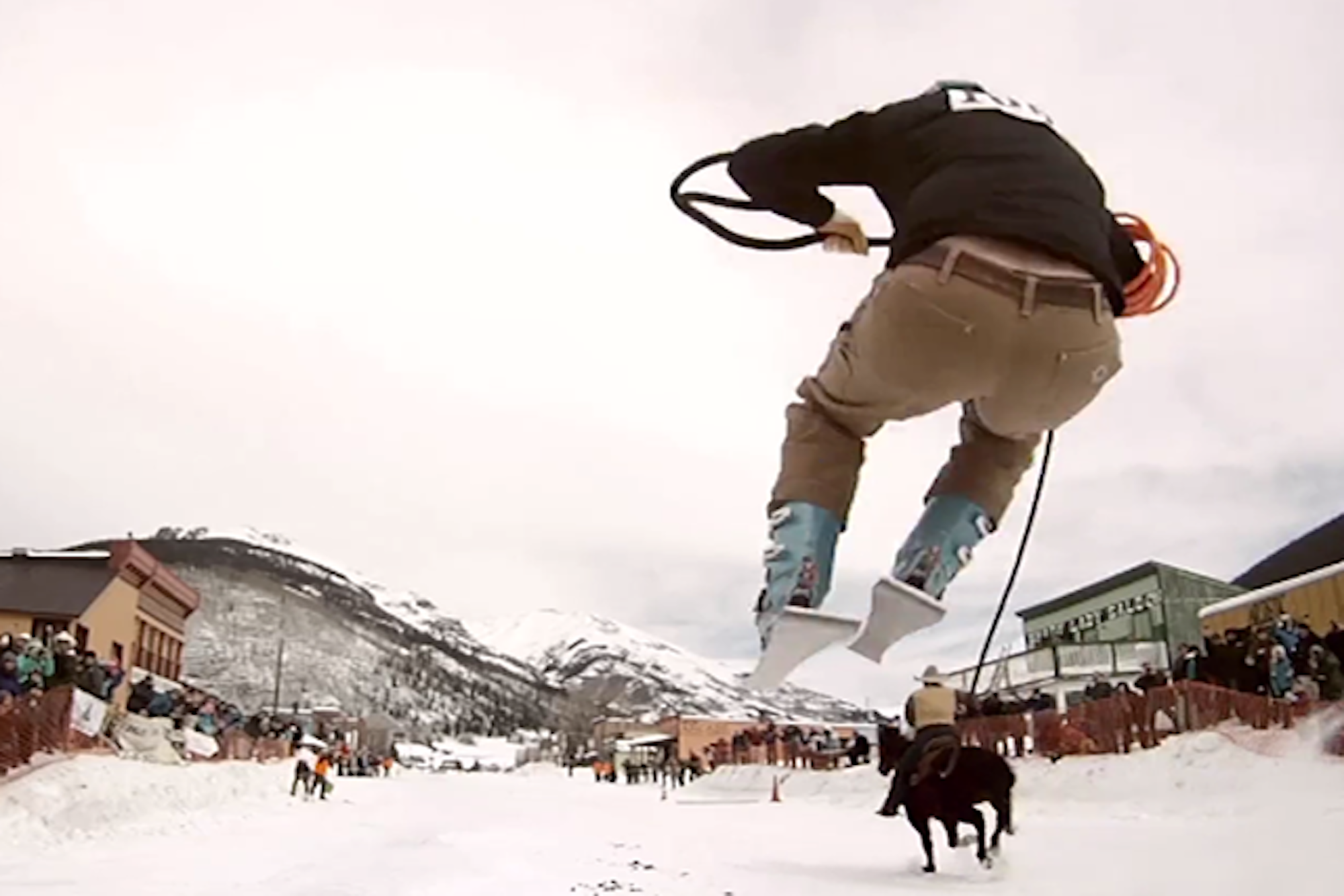 "Skijoring" is cooler than the other side of the pillow