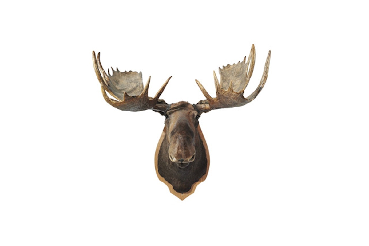 So this Scottish bloke goes on a skiing holiday to Canada…