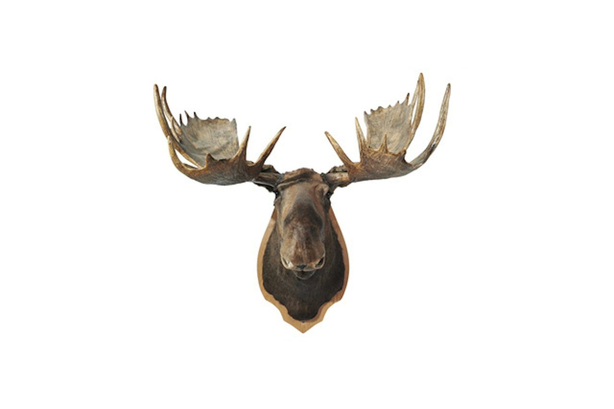 So this Scottish bloke goes on a skiing holiday to Canada…