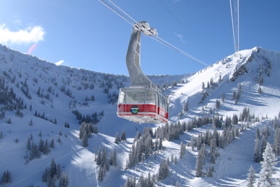 Cumming family partners with Bass family at Snowbird Resort