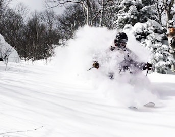 The crew from Mad Trees heads to Jay Peak, reaps benefits of monster March